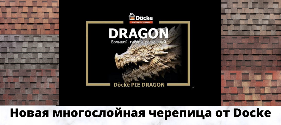 DRAGON DRAGON